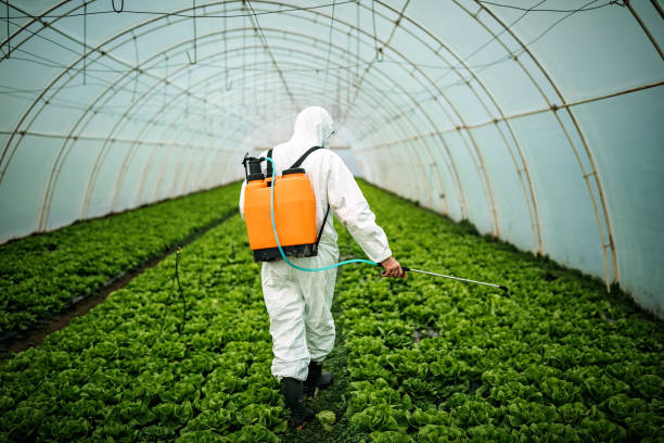 Trusted Washington, IN Pest Control Experts