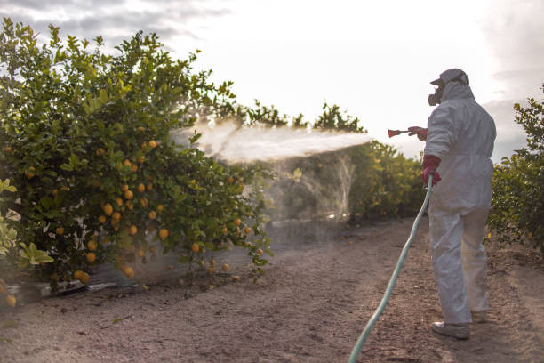 Best Wildlife Control Services  in Washgton, IN