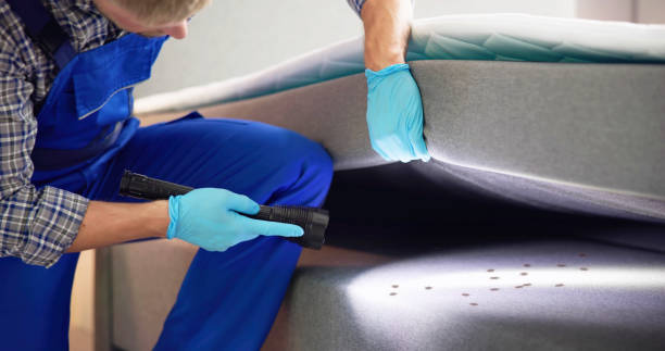 Best Emergency Pest Control  in Washgton, IN